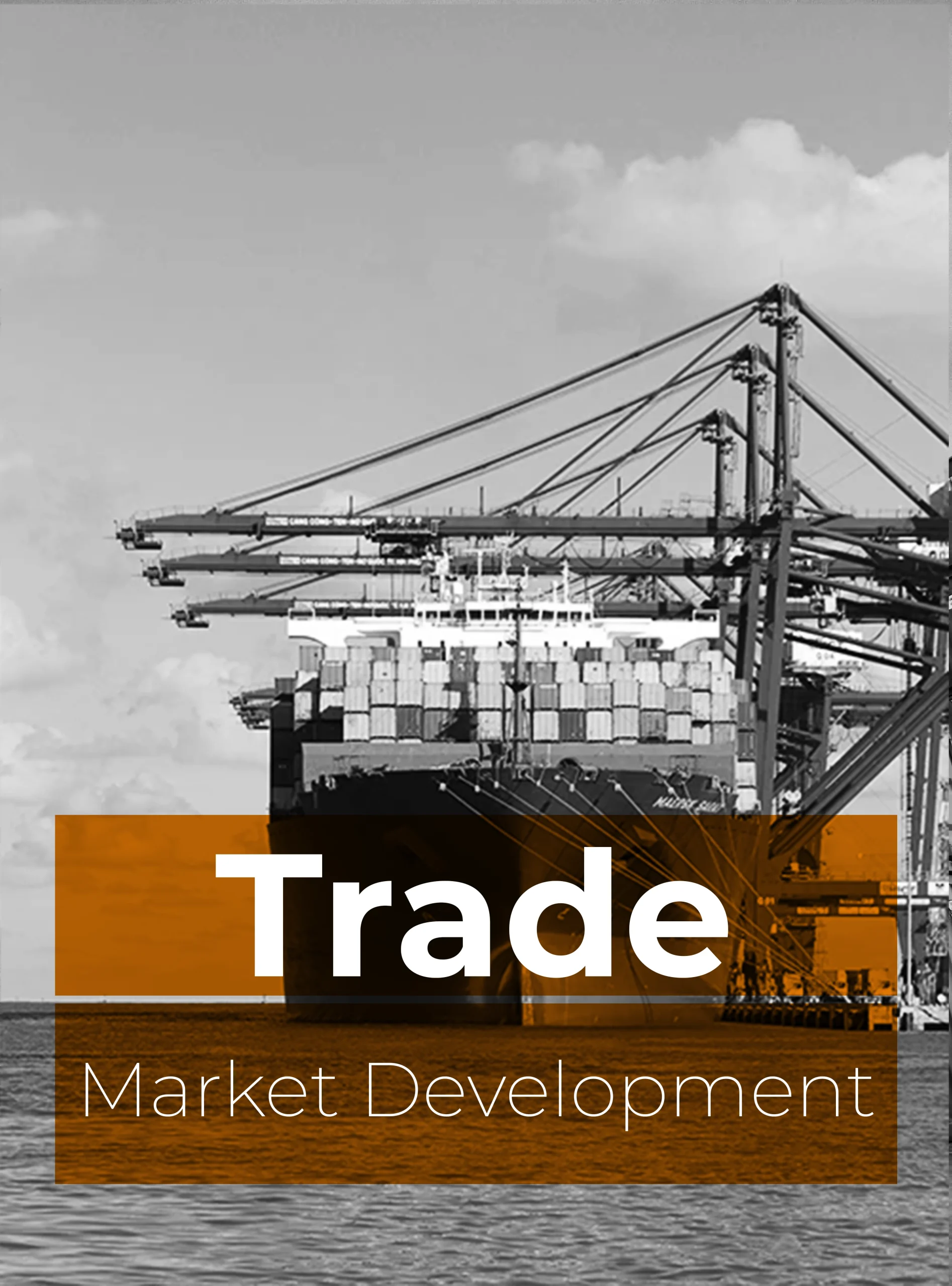 market development